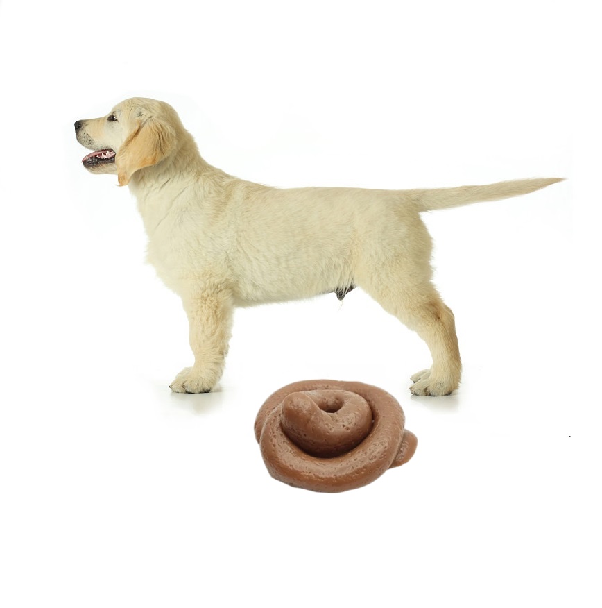 Funny Prank Poop Squishy Toy - - Fake Poop Gag Gift ulasan dan harga